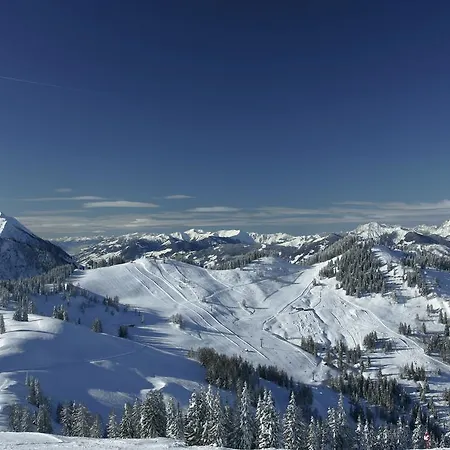 公寓 霍奇科尼格布里克公寓